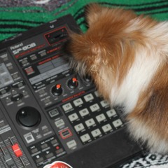 nini10V2