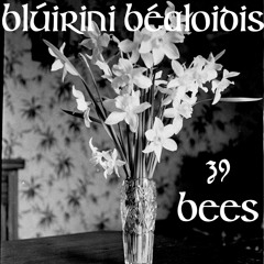 Blúiríní Béaloidis 39 - Bees In Tradition (with Tiernan Gaffney)