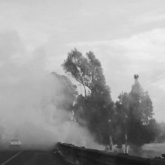 Emergency - egg yolk