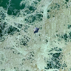 solitude? (prod. Echo Clinic)