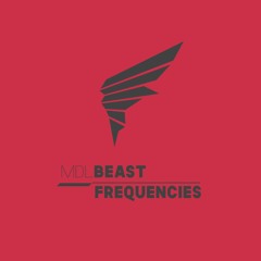 VJMP3 - PEAK TIME MIX (MDL Beast frequencies Radio Show 2020)