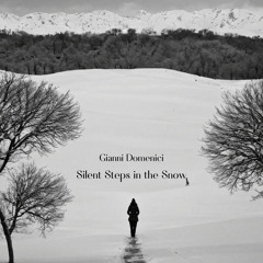 Silent Steps in the Snow