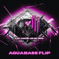 $CVRY M0N$TER$ & N!CE $PR!TE$ - aquabass flip