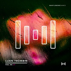 Luan Trombin - Straight Mind [Marylebone Records]