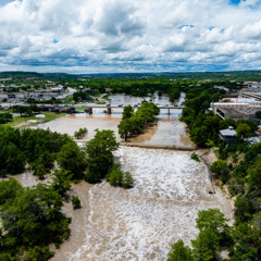 The Flood
