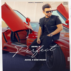 Perfect Ft Bob - Akhil