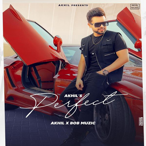 Perfect Ft Bob - Akhil