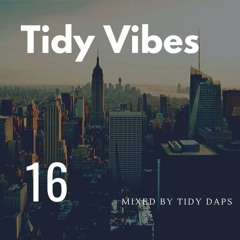 Tidy Vibes Vol. 16
