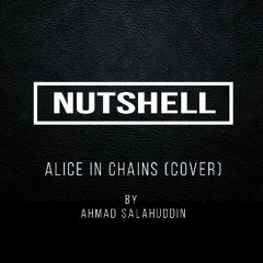 Nutshell - Alice in Chains (Acoustic Cover)