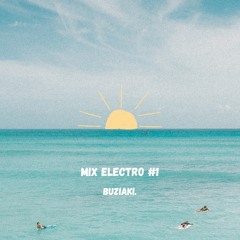 Mlix electro #1 - (Eli & Fur, Sebastien Leger, Lane 8, NTO,...)