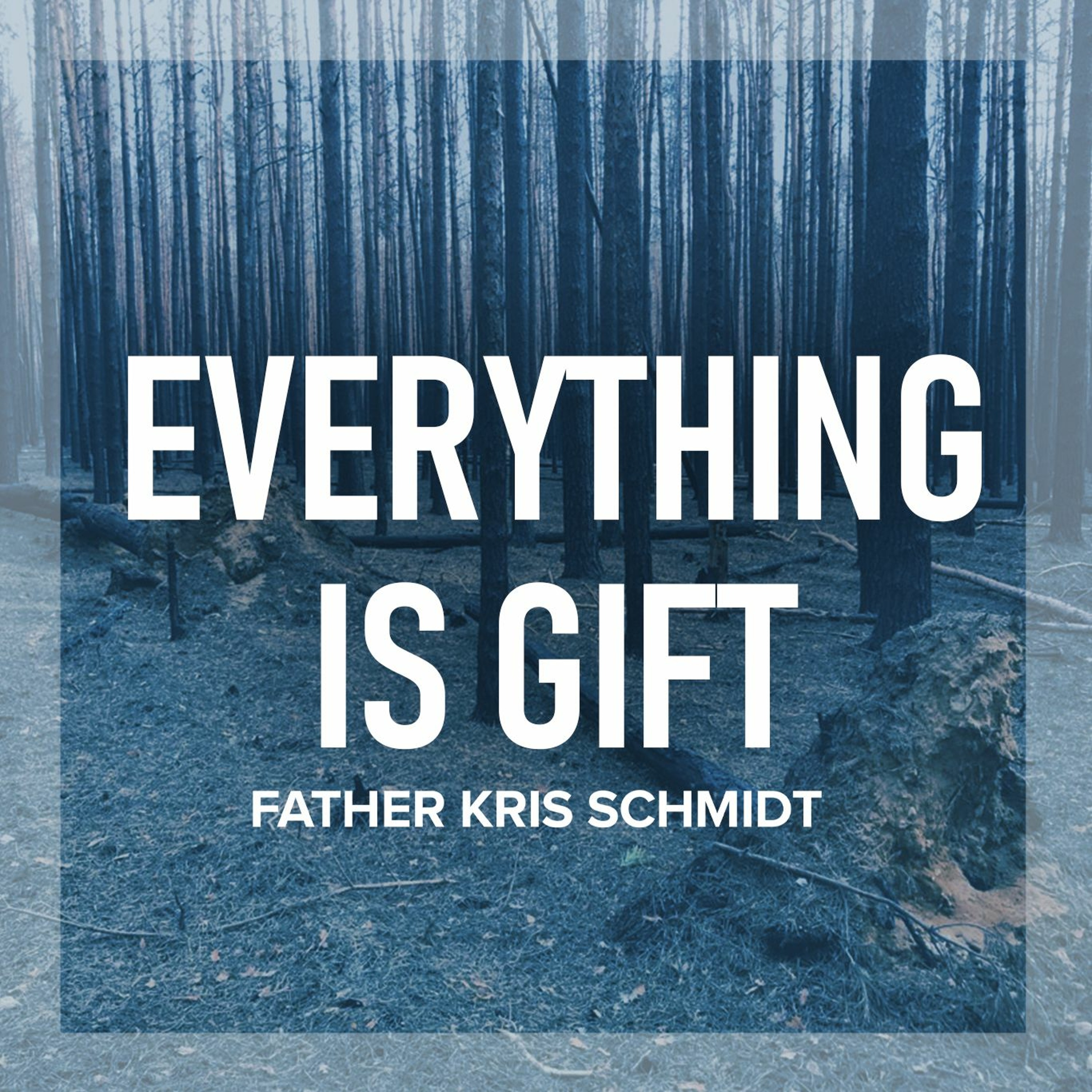 Fr. Kris Schmidt Homilies