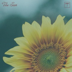 Mita Gami - Sun (Dapeace Remix)