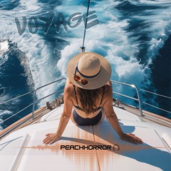 Voyage
