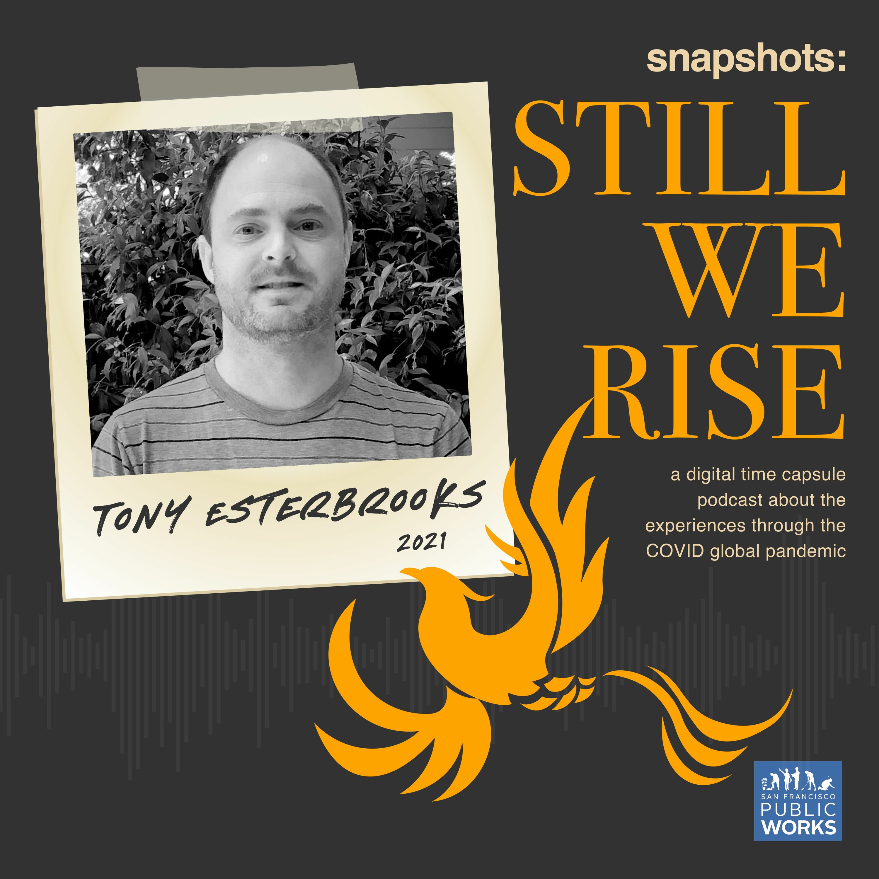 Snapshots