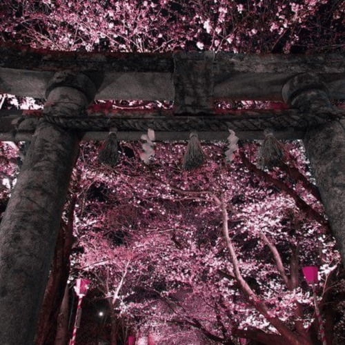 @whyxaiyo - nightmares