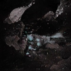 Cabeça Dinossauro (titãs Cover)