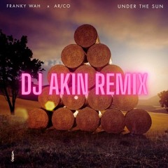 Franky Wah x Arco - Under The Sun (DJ AKIN REMIX)