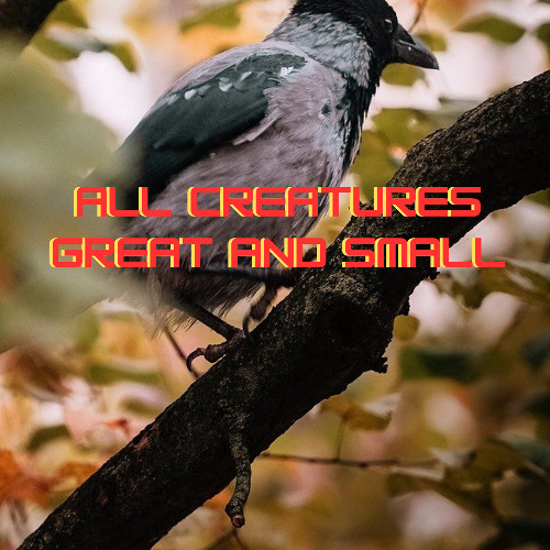 All creatures great and small