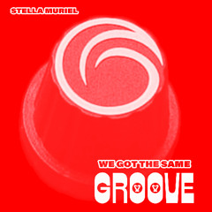 WE GOT THE SAME GROOVE
