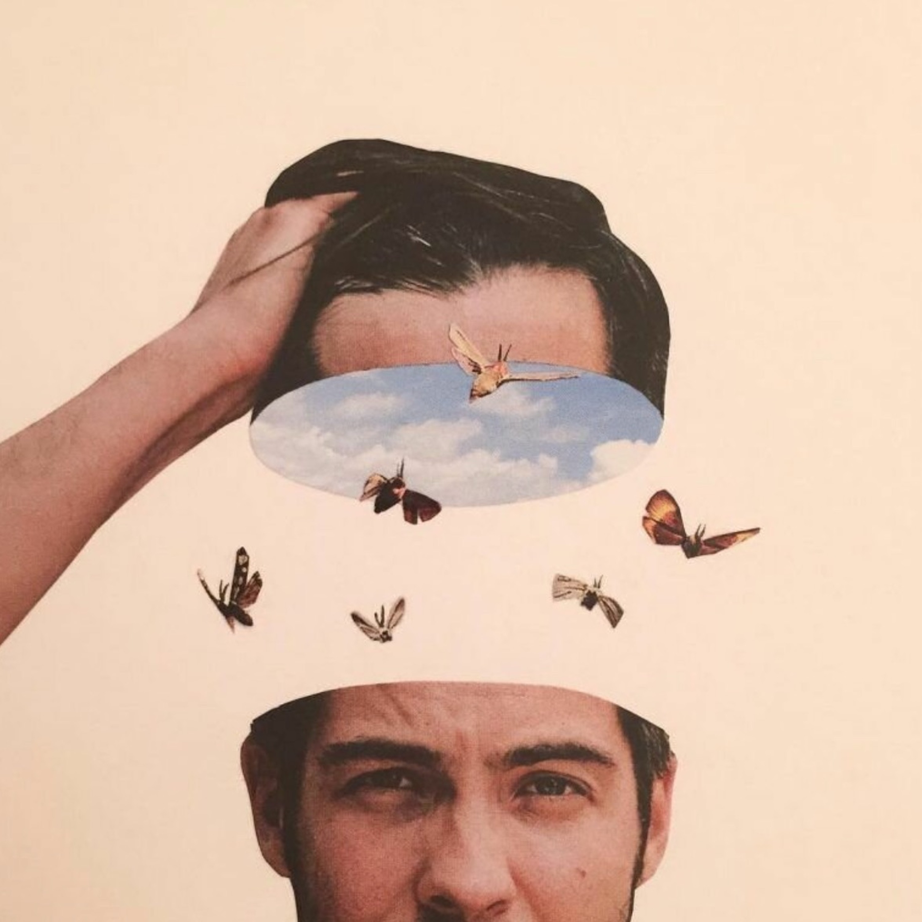 Как мы влюбляемся