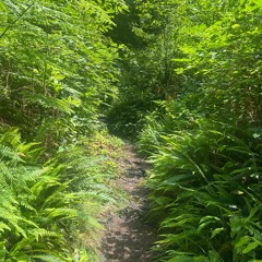 Mufasa (8PR19HT MIX)