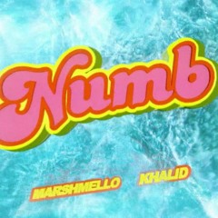 NUMB - Marshmello, Khalid (Wilfred Remix ft Dymmij)
