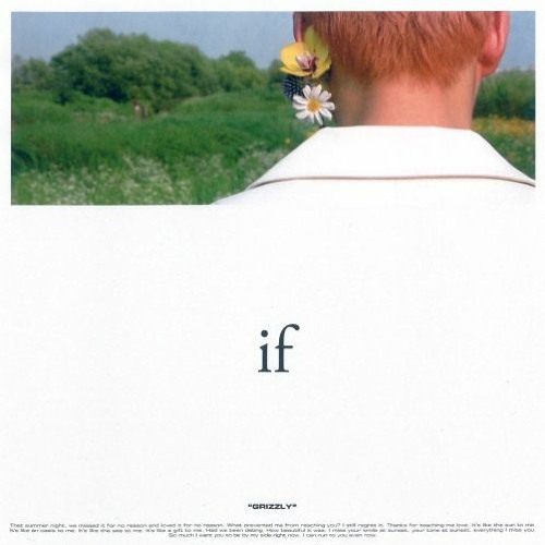 그리즐리(Grizzly) - IF