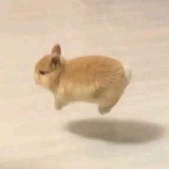 Silliest ever o⁠(⁠(⁠*⁠^⁠▽⁠^⁠*⁠)⁠)⁠o