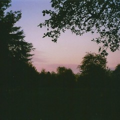 Lust For Life - 19 August 2015