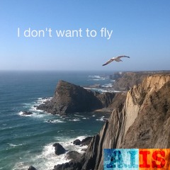 I don't want to fly