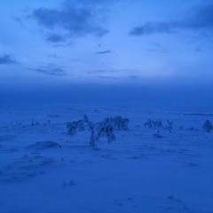 DJ Psychiatre - Cruel Cruel World