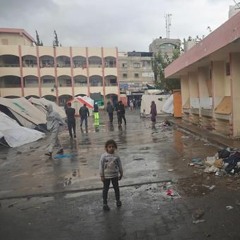 Gaza, mutilación femenina, Julian Assange, terremotos en Siria y Turquía… Las noticias del martes