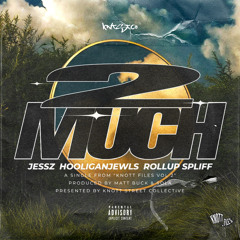 2 Much (Knott Files Vol 2)