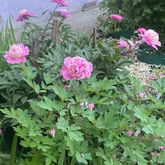 крутой и загадочный