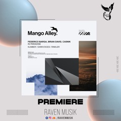 PREMIERE: Federico Barga & Brian David - Klimber [Mango Alley]