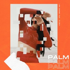 Luna Shadows (feat. In.Drip.)  - Palm Springs [Microphonist Remix]