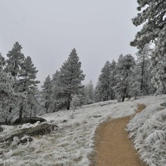 Richard Clayderman - Love Song In Winter Winter Sonata[Youtubetomp3.sc]