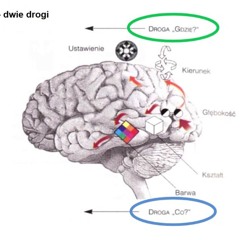 KRYPT0SUKA - BINGO (prod. ASBO AIRLIENS) #4 BALAST
