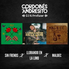 Sin Frenos X Llorando en la Limo X Malbec (Cordobés & Andresito) - PREVIEW