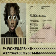 THE WOKEUPERS ~ o ultimo cover de fragged aht