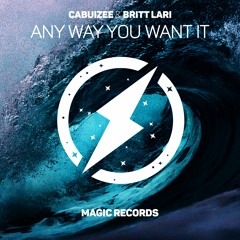 CABUIZEE & Britt Lari - Any Way You Want It