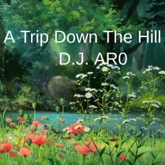 A Trip Down The Hill -D.J. AR0