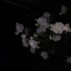 قلبك مبقاش يفرق معايا ولا فارقة عشرة  واقدر أجيب حالاً مكانه يجي عشرة