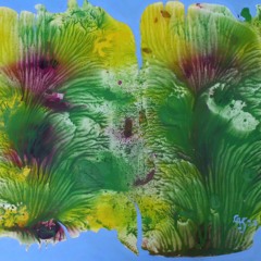 Garden In Late Spring