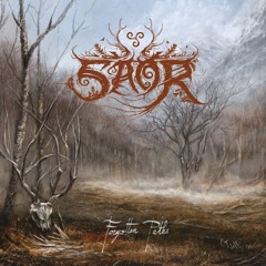Saor : Bròn