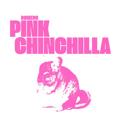 Pink Chinchilla