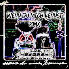 Wenn du mich kennst RMX