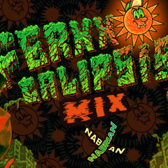 FEID - Manifesting 20-05, Ferxxocalipsis, No le temas a la oscuridad (Nabrian DJ MIX SET)