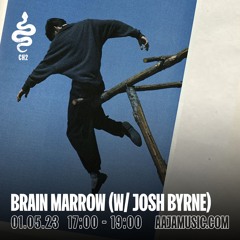 Brain Marrow w/ Josh Byrne - Aaja Channel 2 - 01 05 23
