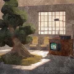 Juniper (Do You Trust Me?)